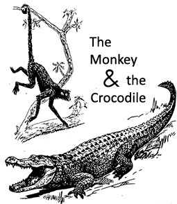 monkey and crocodile
