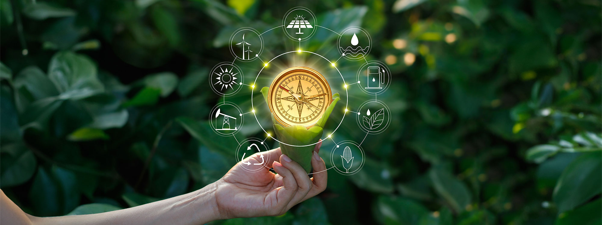 A hand holding a compass with climate action icons surrounding it. 