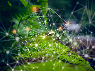 Conceptual image of a computer network overtop a mossy tree trunk