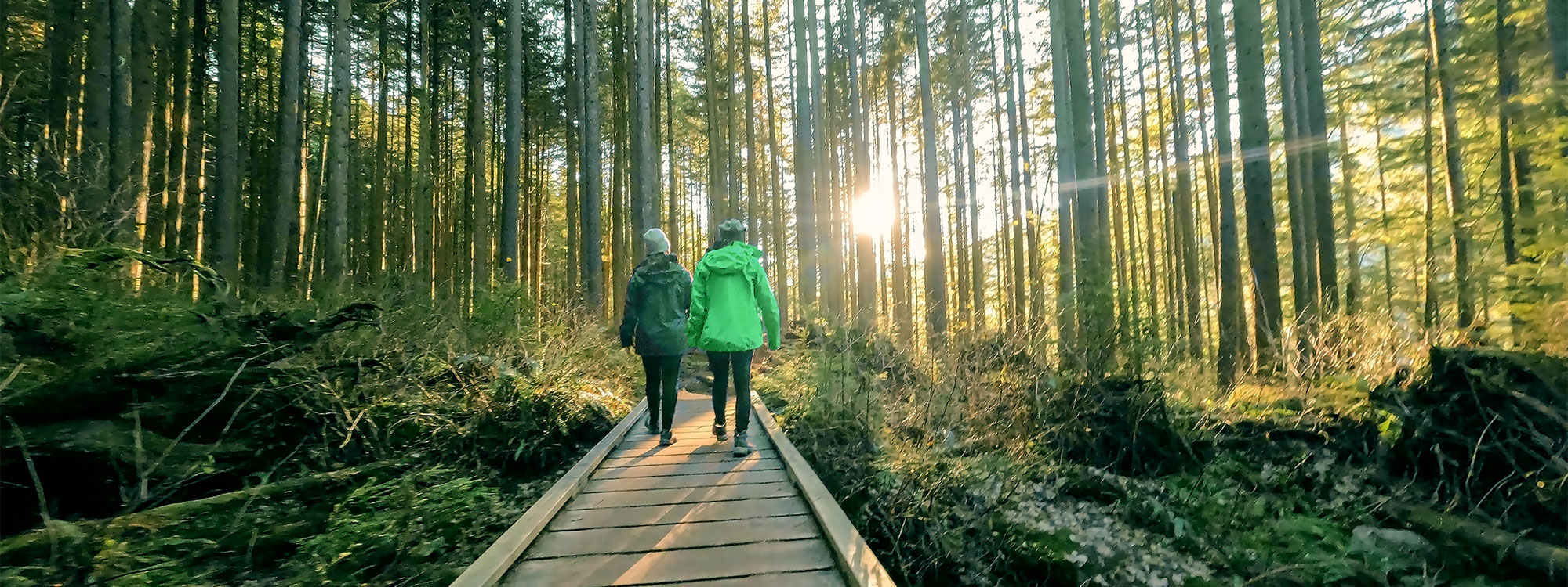 Two people walking down a trail in a forest. 
