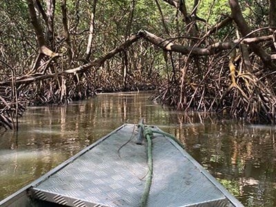 Skiff on a swamp river with defoliated trees
