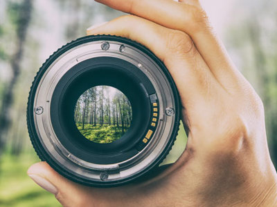 Looking through a camera lens held by a hand. Forest scene.