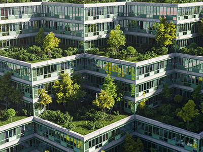 Natural pathways carved into greenery