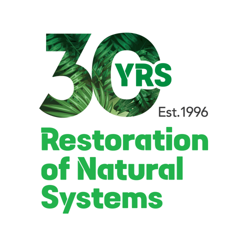 RNS 30th anniversary logo