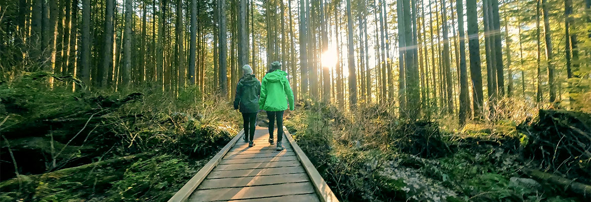 Two people walking on a boardwalk in the forest.