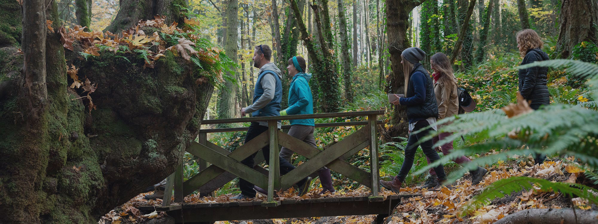 Group of people walking across a wooden bridge in a forest surrounded by trees, ferns and leaves.