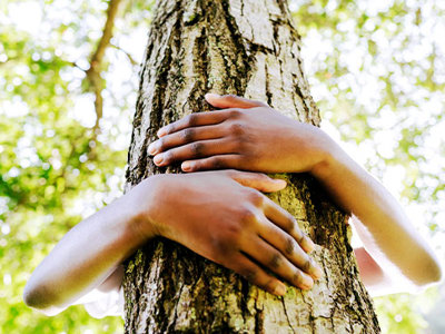 Photo of arms wrapping around a tree to hug it. 
