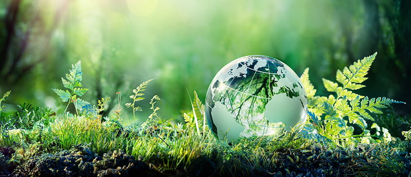 A clear glass globe, etched with the continents of Earth, sits nestled in vibrant green moss and ferns, bathed in soft, ethereal sunlight filtering through the background foliage. The image evokes a sense of environmental harmony and sustainability.
