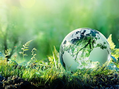 A clear glass globe, etched with the continents of Earth, sits nestled in vibrant green moss and ferns, bathed in soft, ethereal sunlight filtering through the background foliage. The image evokes a sense of environmental harmony and sustainability.