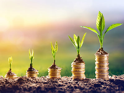 Progressively larger stacks of coins with leaves growing on top.