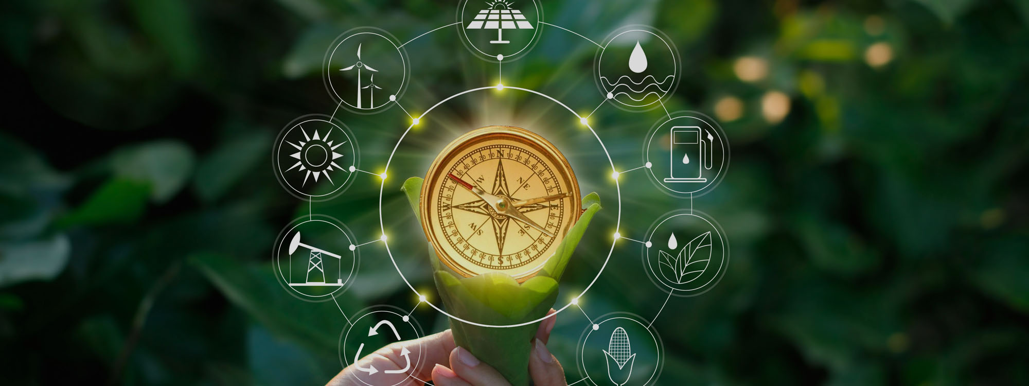 A hand holds a small plant with a compass at its center, surrounded by icons of sustainability and renewable energy.
