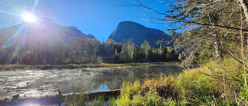 A serene river winds through a forested valley beneath dramatic mountain peaks on a bright, sunny day. Sunbeams create a natural lens flare in the upper left corner. The riverbanks are lined with evergreen and deciduous trees showing autumn colors. Tall grasses and vegetation grow along the water