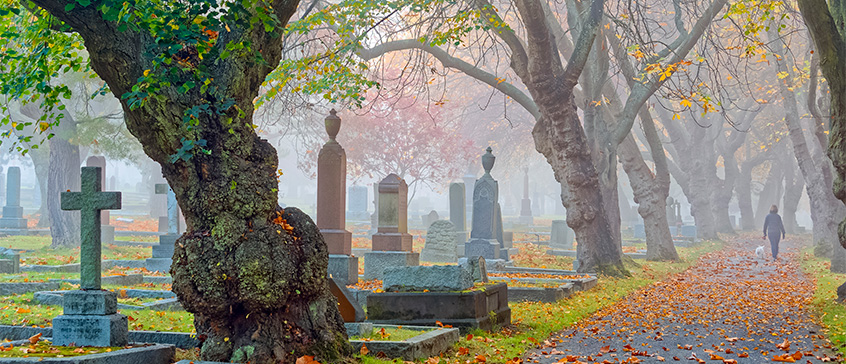 Photo of Ross Bay cemetery