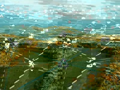An overhead arial view of a forest overlaid with a lattice grid link a variety of sustainability icons