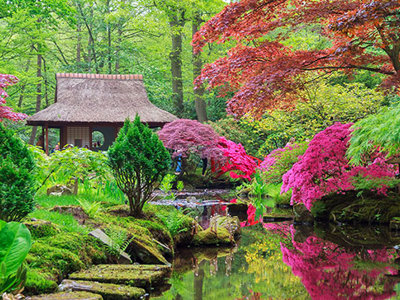A pond with stepping stones surrounded by Japanese maple trees and other flora. A small pagoda structure by the pond