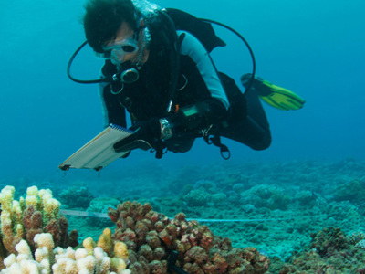 Marine Science Topic Image