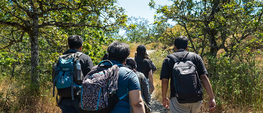 English Language students walking through the endangered Garry Oak forest ecosystem at the peak of Mt. Tolmie