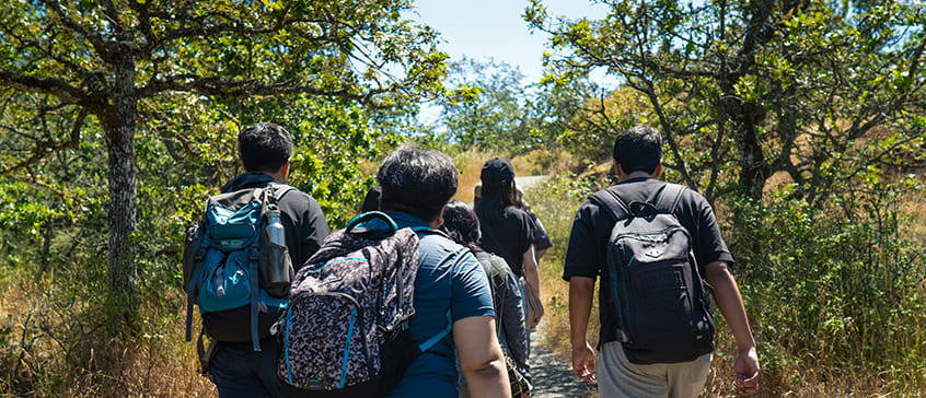 English Language students look out at the view at the top of Mount. Tolmie in Victoria, BC