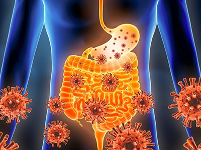 Illustration of the digestive system with large gut bacteria visualized for emphasis. 