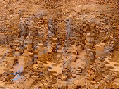 Gobeklitepe in Sanliurfa Turkey. Pillars of the oldest temple In Gobeklitepe