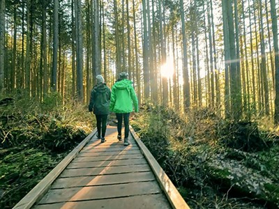 Two people walking on a boardwalk in a beautiful west coast forest. 