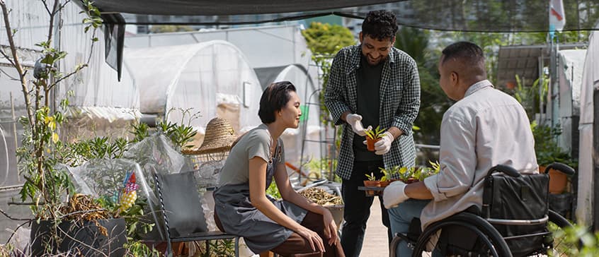 Outside in a garden nursery with arched greenhouses in the background, A man is holding a small potted plant and discussing it with a seated woman and a man in a wheelchair