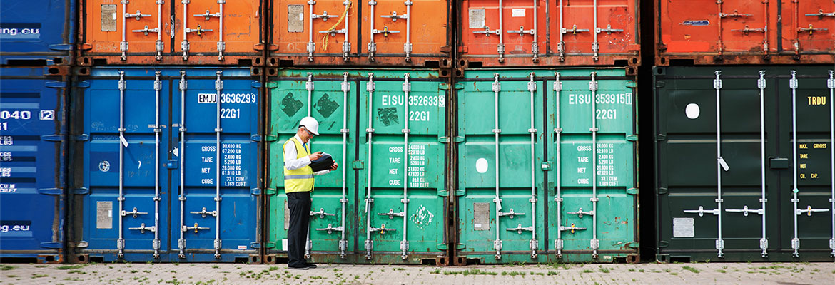 Borders officer in front of colourful containers.