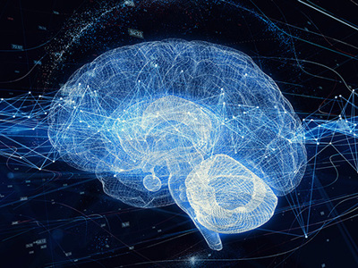 Neuro networks of the human brain