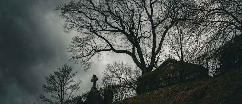 Photo of tree and cemetery at night