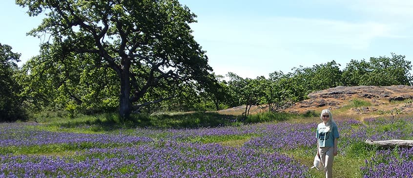 Patricia Dijak in the Uplands of Victoria, standing in a field of purple ground flowers with a large Gary Oak tree in the background.