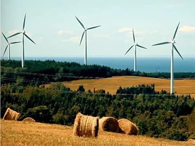 Wind turbines over a hay field