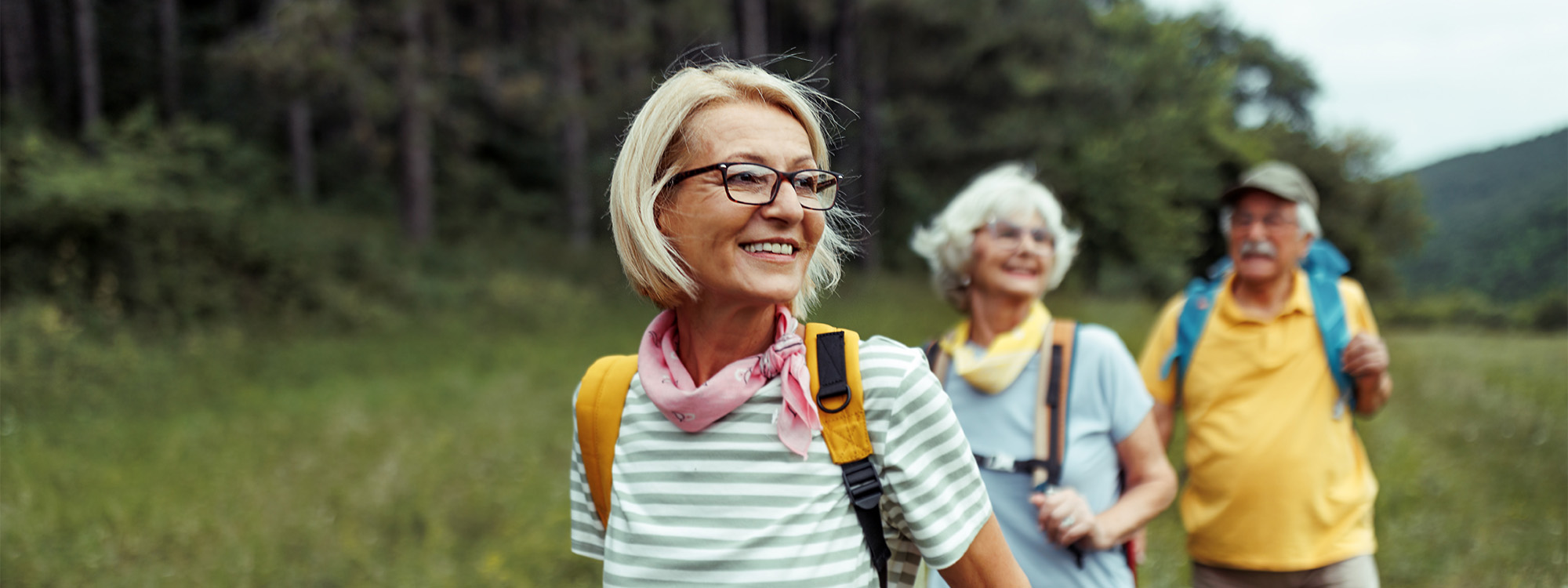 A group of seniors walking in a forest. 