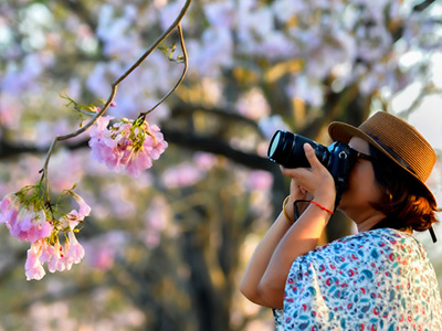 Photography topic header image.