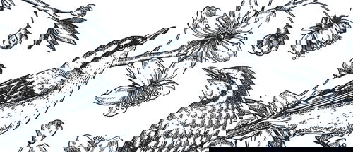 Detailed black-and-white illustration of two birds perched among blooming branches, surrounded by flowers and buds, representing nature-inspired sketching techniques.