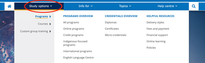 Screenshot of Study Options menu