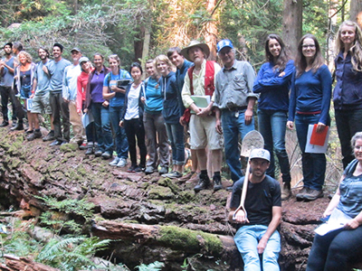 A group of field study study students standing on a large fallen log in the forest