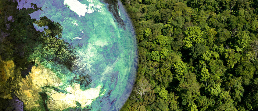 Illustration of the planet earth superimposed on a photo of a forest