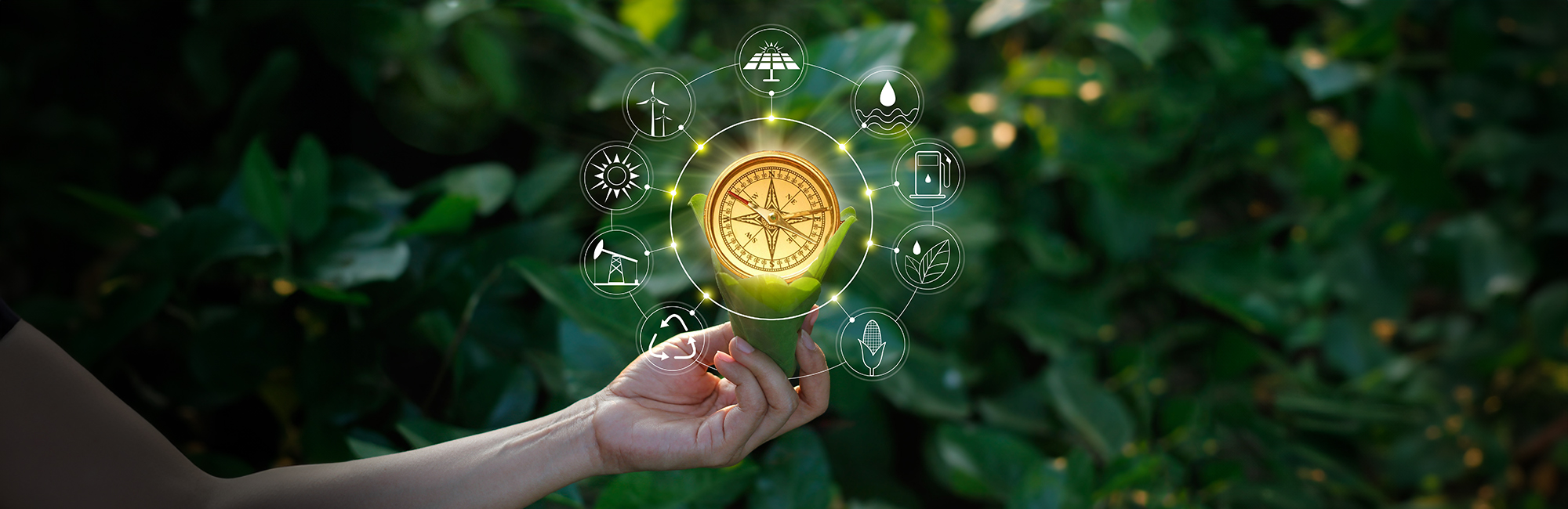 Photo of hand holding compas. 