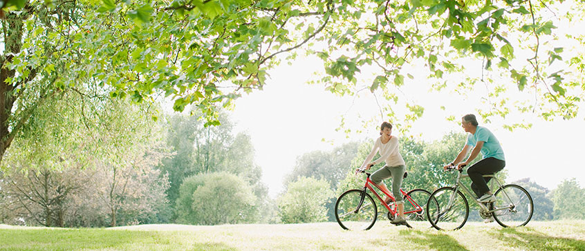 Two people enjoying a bike ride under the shade of lush, green trees on a sunny day.