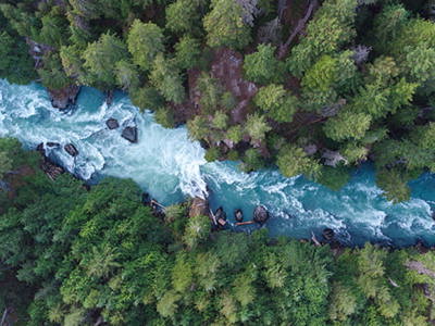 Drone view of the Cheakamus river. White water coursing through a winding river channel nestled between lush evergreen forest.