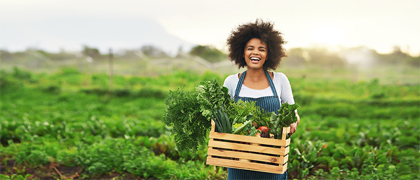 Woman standing in field with a big basket of vegetables. 