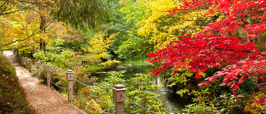 Photo of trees. 