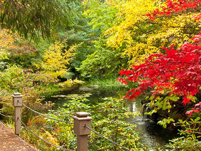 Photo of trees. 