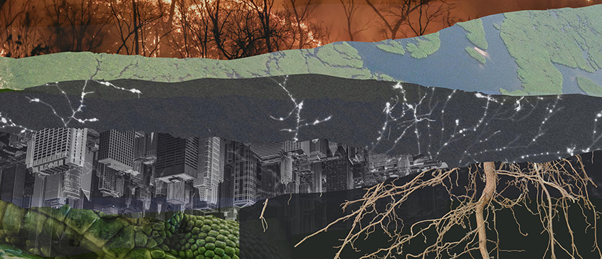 composite image of a ripped strips of photos showing widlfires, satellite maps, cityscape, lush foliage, trees with bare branches depicting a conglomerate of issues in a metacrisis