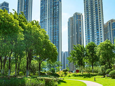 A sunny, vibrant park with lush green trees and manicured lawns in the foreground. A winding paved path curves through the grass. In the background, modern, tall apartment buildings with many windows rise into a clear blue sky.