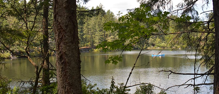 View through trees of a lake in British Columbia