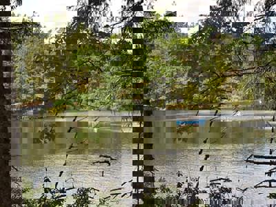 View through trees of a lake in British Columbia