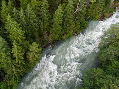 Aerial view of a lush green coastal forest and the Cheakamus River in Whistler, British Columbia.