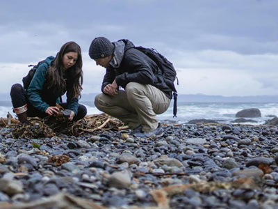 Two people observing beach pebbles. 