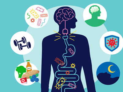illustration of a Brain Gut Connection 